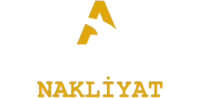ataysınv2